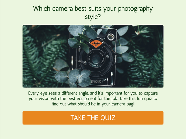 "Which camera best suits your photography style?" quiz template cover page